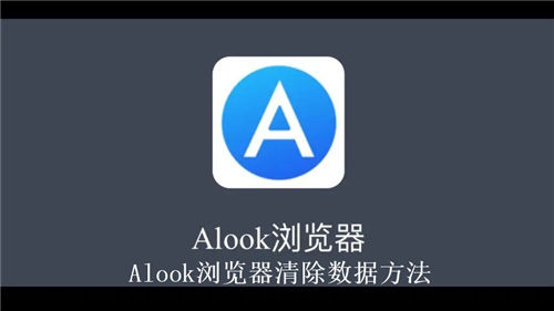 Alook浏览器怎么清除数据 Alook浏览器清除数据方法