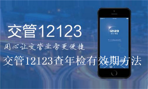 交管12123怎么查年检有效期 交管12123查年检有效期方法