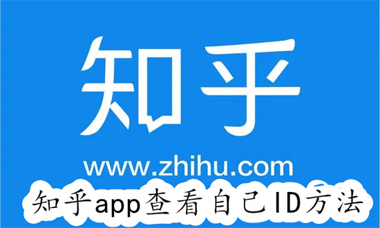 知乎app如何查看自己的账号ID 知乎app查看自己的账号ID教程