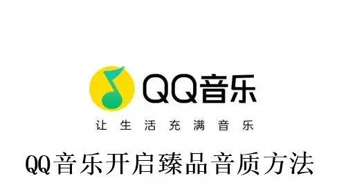 QQ音乐怎么开启臻品音质 QQ音乐开启臻品音质方法